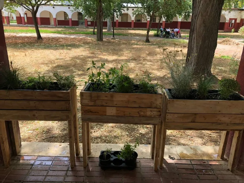 huerto-interior-daño-cerebral-adquirido