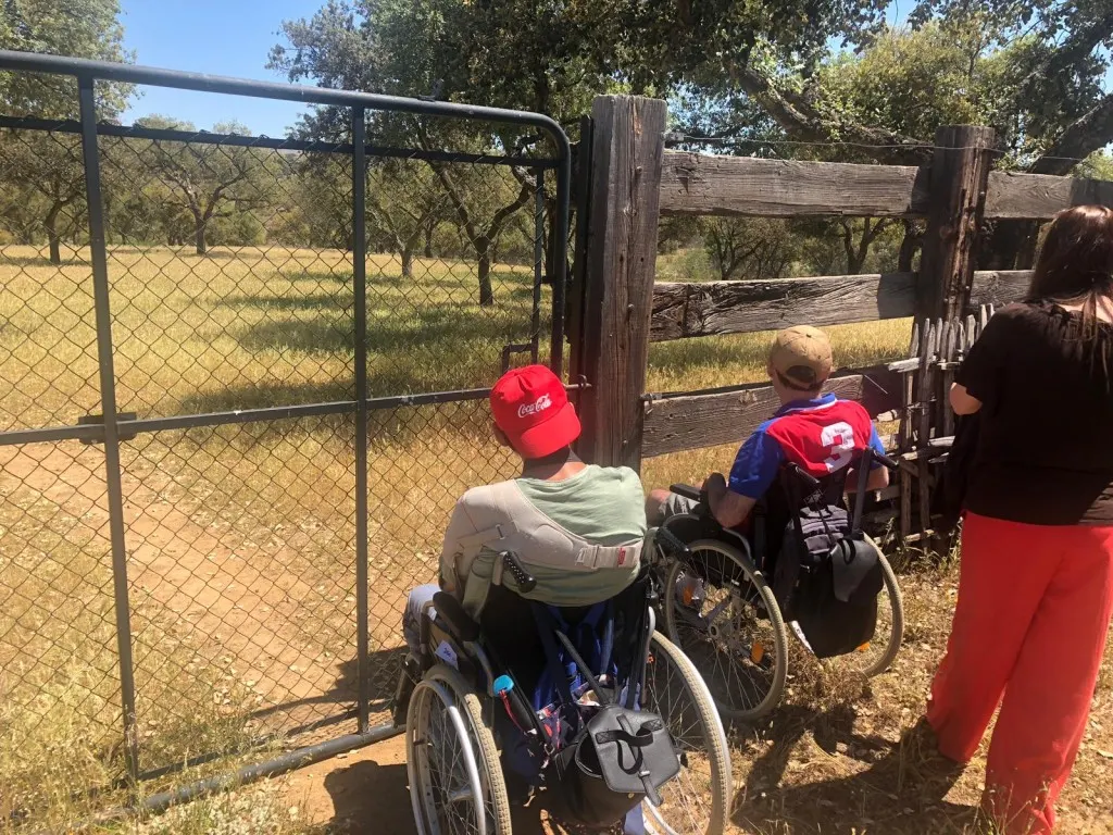visita-cazalla-de-la-sierra-daño-cerebral-adquirido
