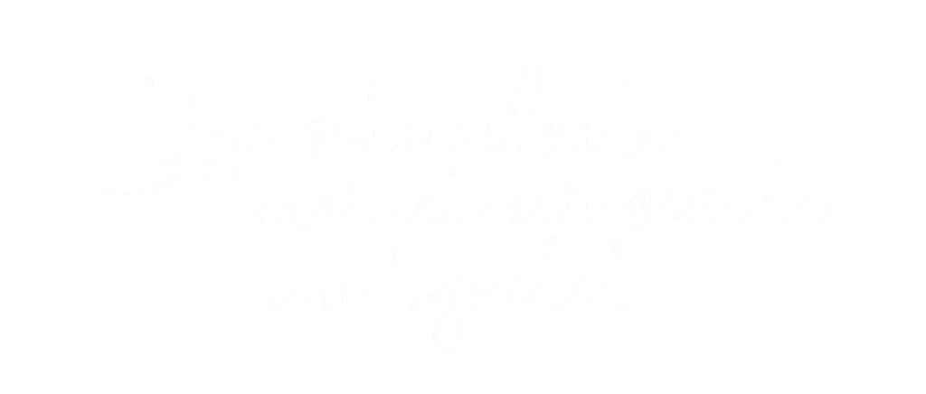 imagen portada 1 1024x436