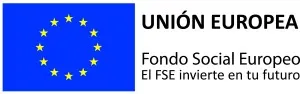 3. Logotipo FSE 0 300x94