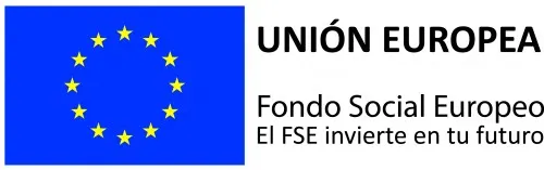 3. Logotipo FSE 0 500x157