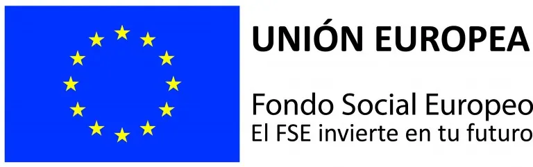 3. Logotipo FSE 0 768x241