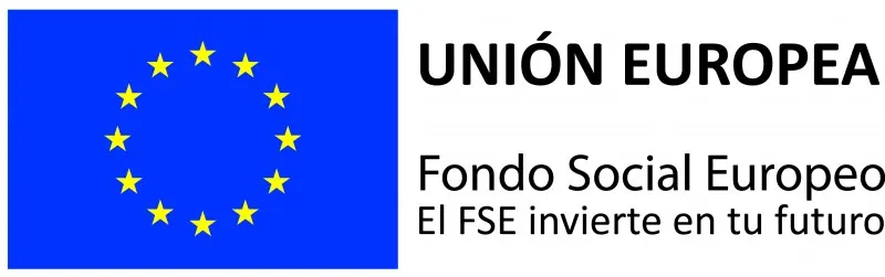 3. Logotipo FSE 0 800x251