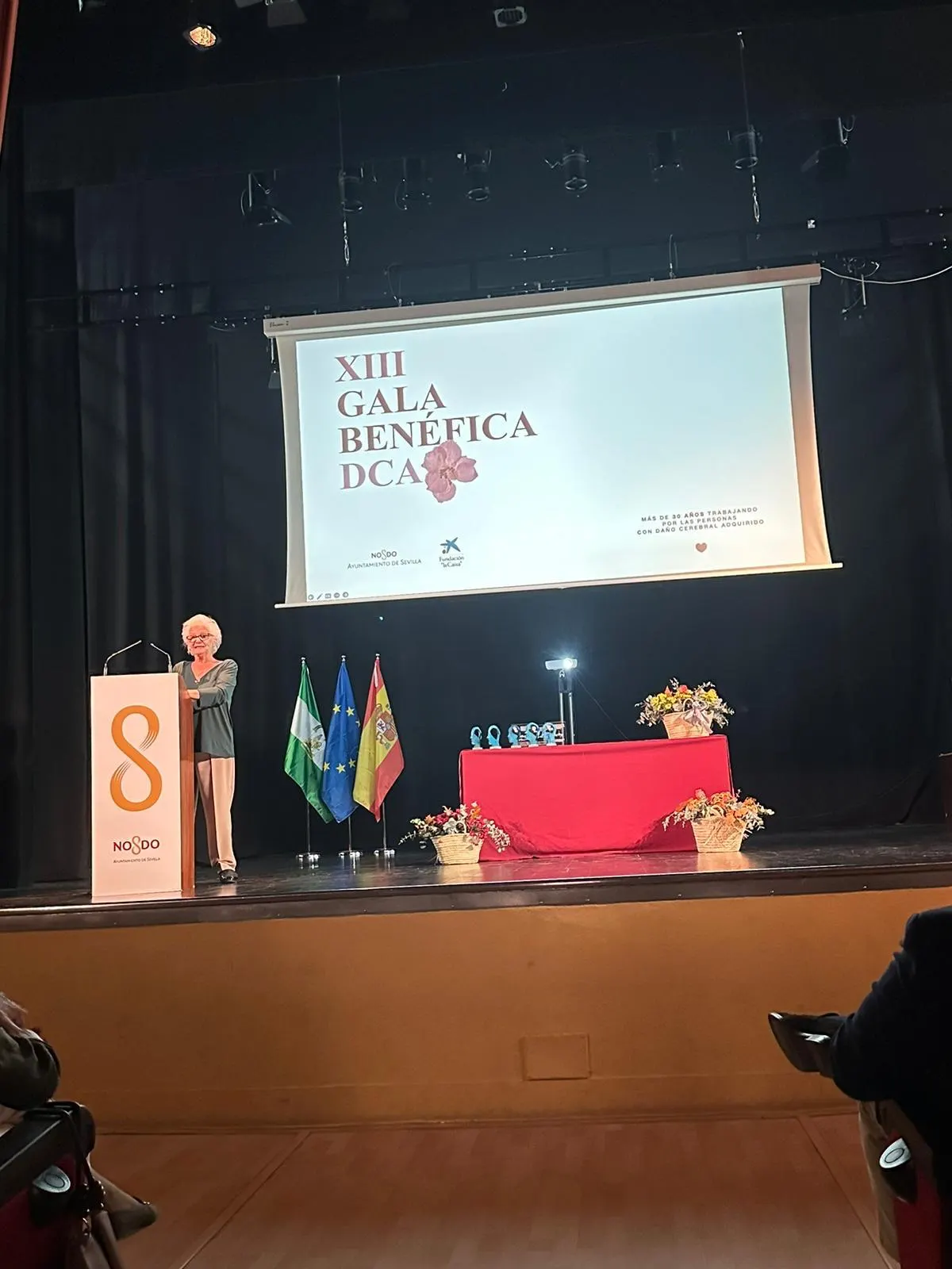 gala-benefica-dca-daño-cerebral-sevilla