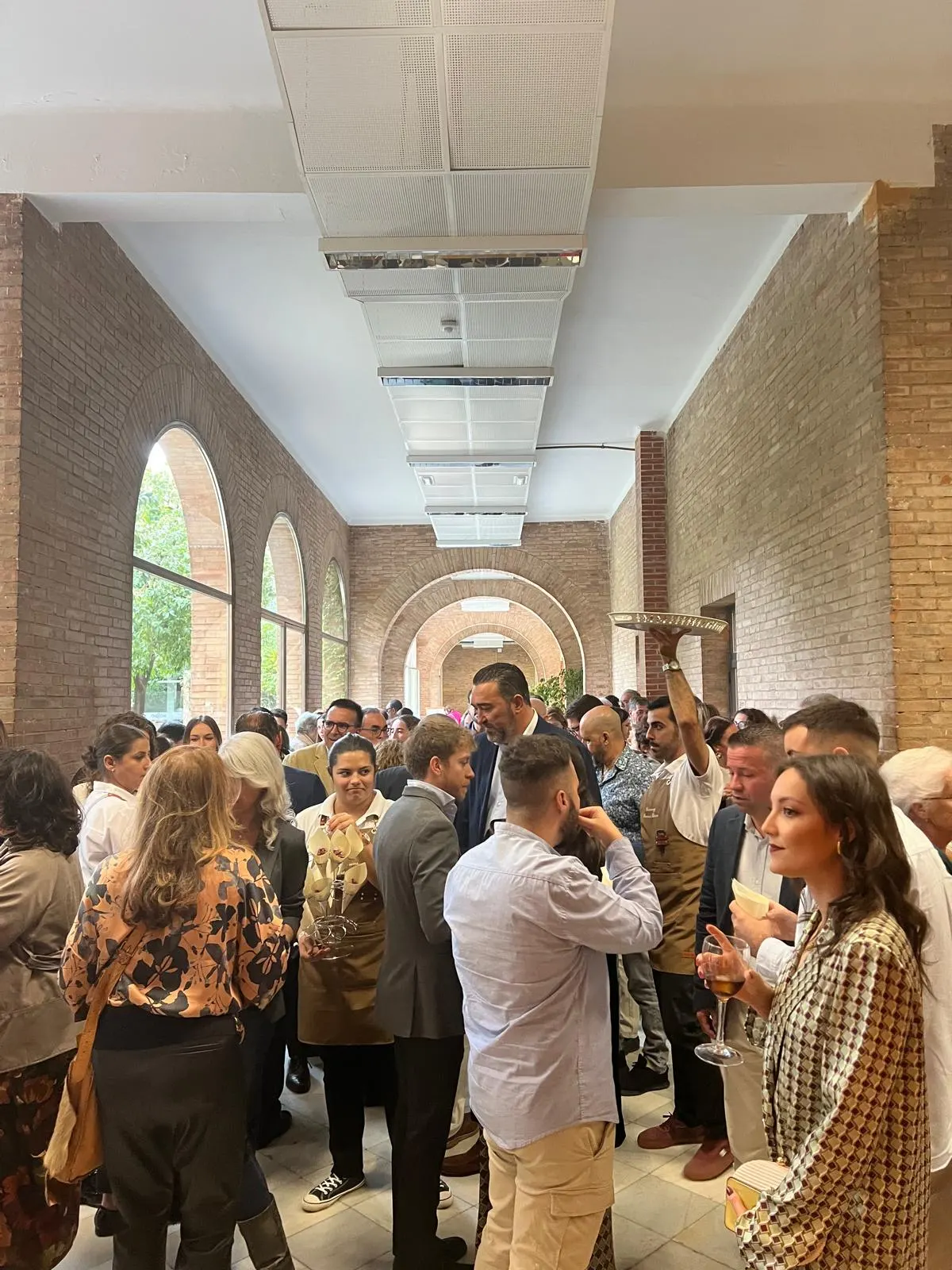 gala-benefica-dca-daño-cerebral-sevilla