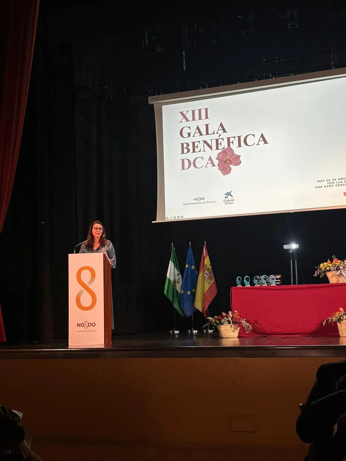 gala-benefica-dca-daño-cerebral-sevilla