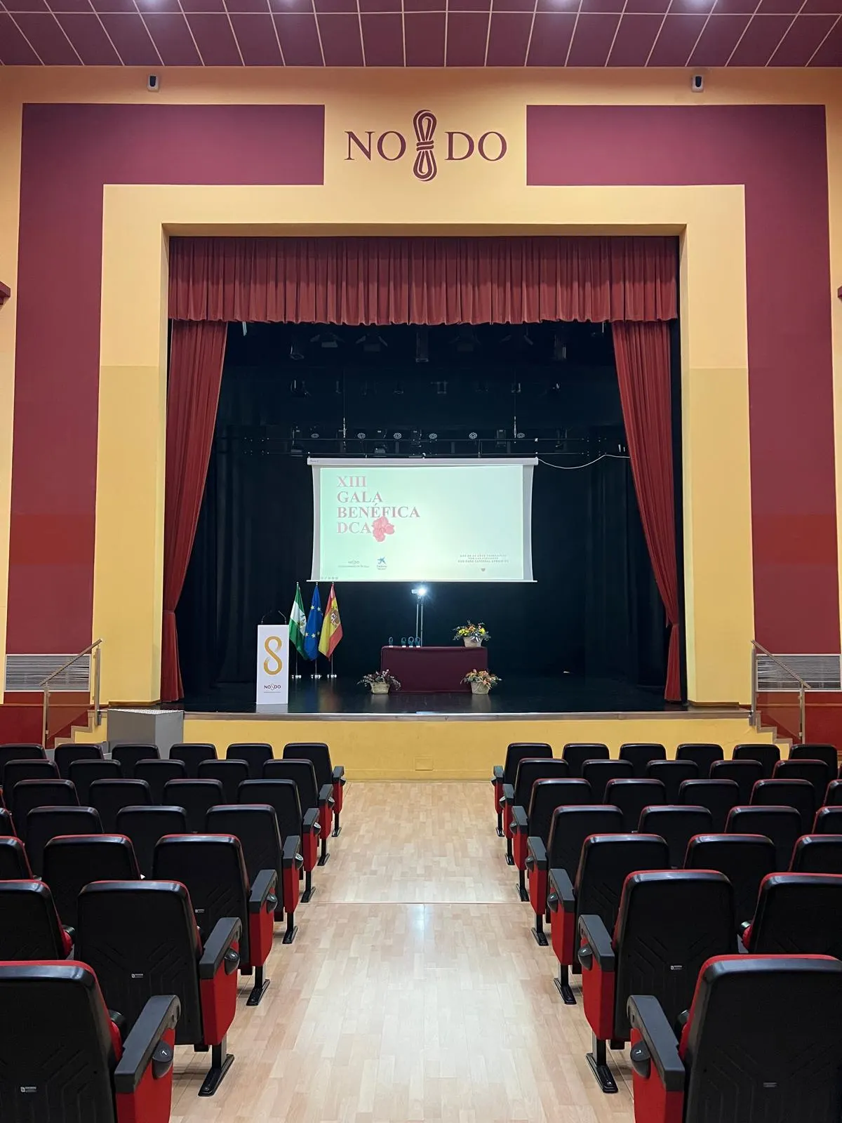 gala-benefica-dca-daño-cerebral-sevilla
