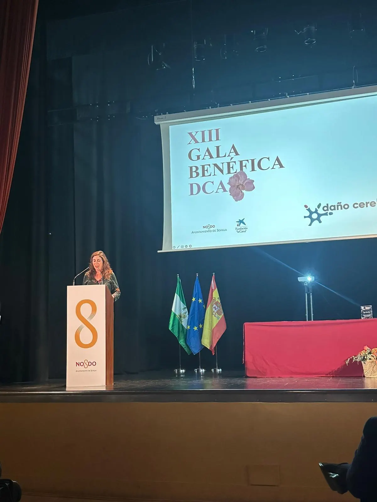 gala-benefica-dca-daño-cerebral-sevilla