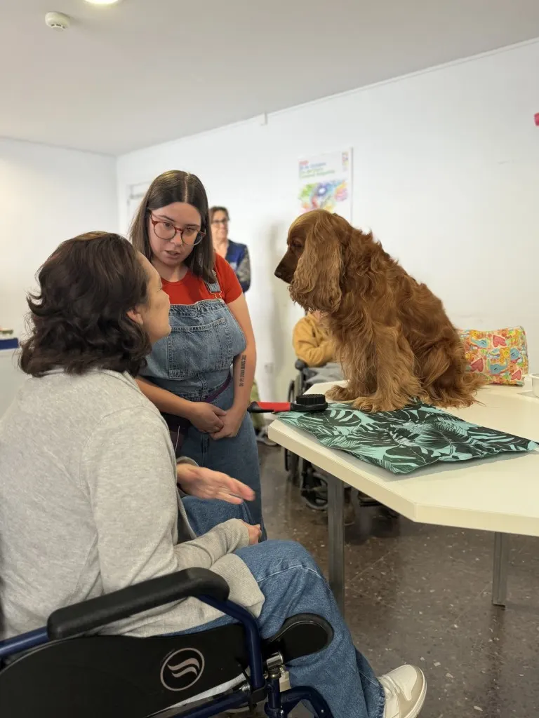 daño-cerebral-sevilla-terapia-perros-intervencion-asistida-animales