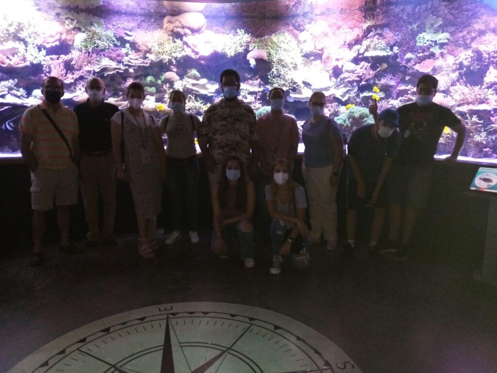 ocio-adaptado-daño-cerebral-adquirido-sevilla-acuario