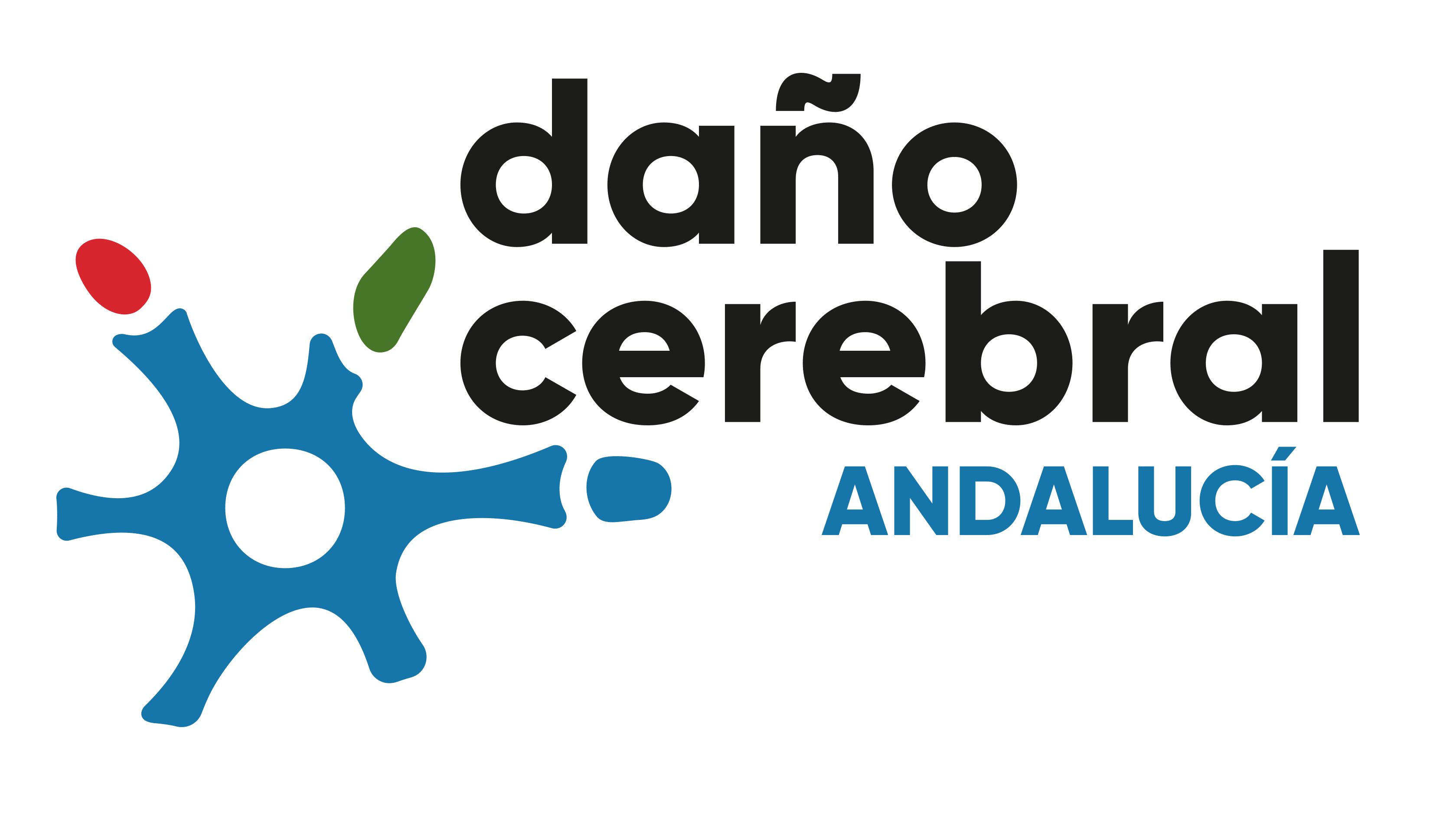 daño-cerebral-andalucia