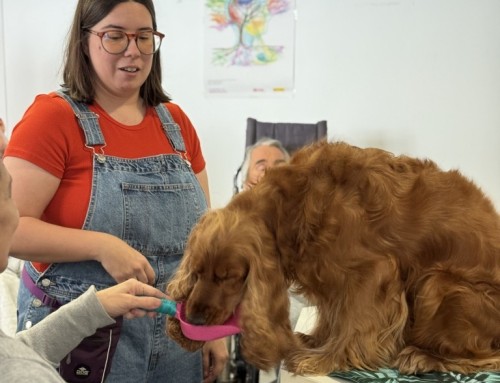 Los perros también cuidan: Intervenciones asistidas con animales en nuestra Unidad de Estancia Diurna